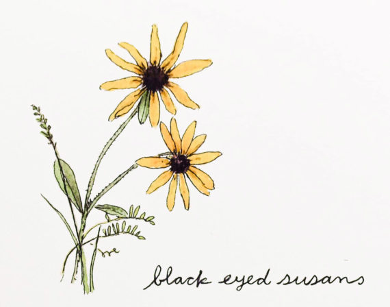 Blackeyedsusansdetail