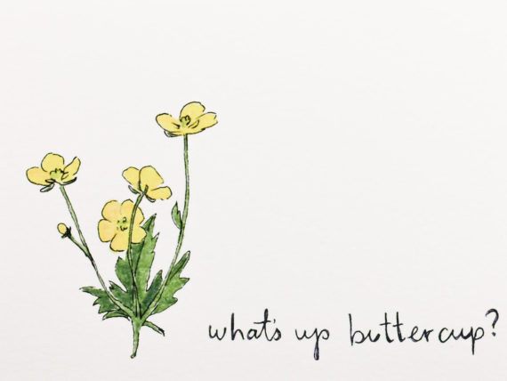 Buttercupdetail