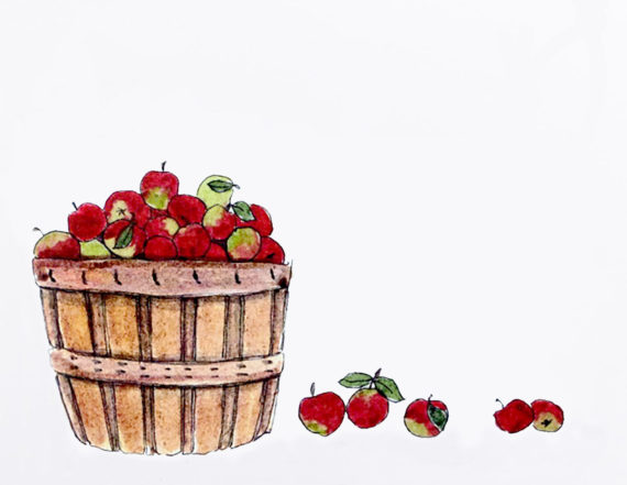 WebshotDetailAppleBasket