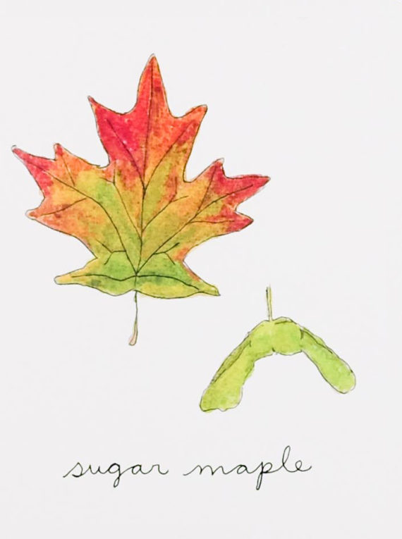 WebshotJuly2018-3detail