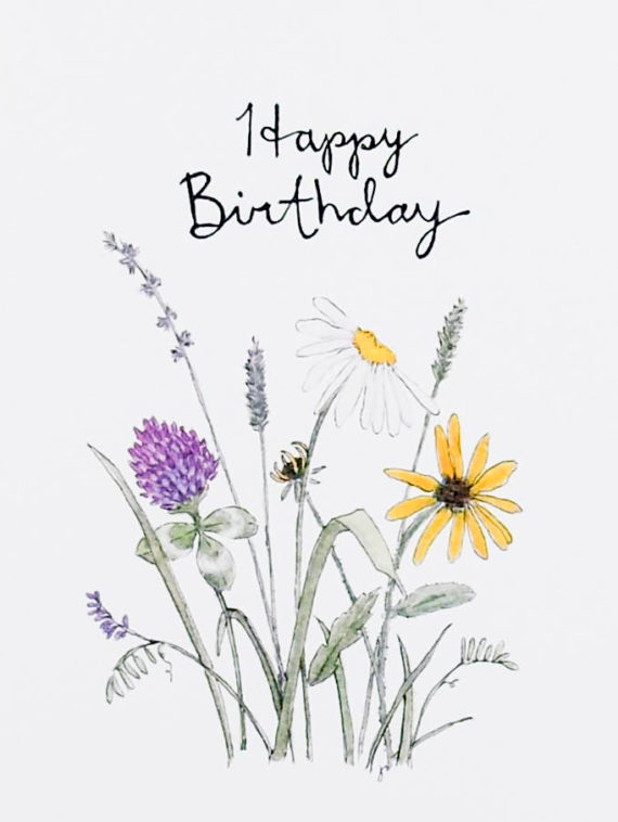 WebshotJuly2018-5detail