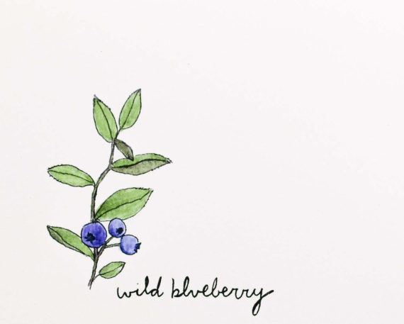 Wildblueberrydetail