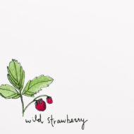 Wildstrawberrydetail